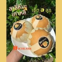 ราคา สาลี่หิมะ 1 ลูก 300-400 กรัม (21129575594)