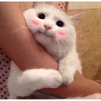 ราคา เสื้อผ้า มือสอง ราคาหลักสิบ (20077706822)