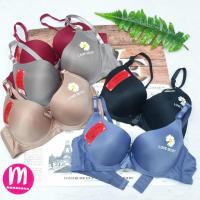 ราคา เสื้อชั้นใน DQ6191 อกถึง 42 ลายดอกเดซี่ฟองบาง เสื้อชั้นในสาวอวบ (20891015124)