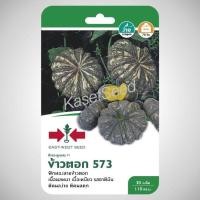 ราคา เมล็ดพันธุ์ ฟักทอง ข้าวตอก573 ศรแดง ผักซอง (1301257917)