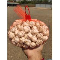 ราคา กระเทียมไทยตัดจุกตัดราก (23025462991)