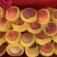 ราคา ลูกท้อ ลูกพีชสดๆ 1 ลูก ลูกละ 19 บาท #ลูกพีช #พีช (5963654106)