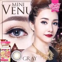 ราคา Kitty Kawaii คอนแทคเลนส์ รุ่น Mini Venus Gray ลายฮิต (สีเทา) ค่าสายตา 0.00 พร้อมตลับใส่ (886672780)