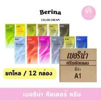 ราคา (ยกลังมี12กล่อง) เบอริน่า Berina A3 - A47 ยาย้อมผม สีย้อมผม 60ml( 006 ) (16916455426)