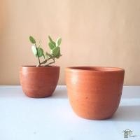 ราคา กระถางแคคตัสดินเผา 10ซม (9729263098)