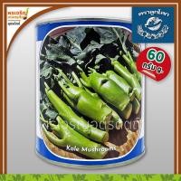 ราคา เมล็ดพันธุ์ คะน้าหวาน คะน้าฮ่องกง เห็ดหอม OP (60 กรัม) เมล็ดคะน้าฮ่องกง คะน้าเห็ดหอม เมล็ดพันธุ์ผักสวนครัว ตราลูกโลก (8550693421)