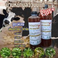 ราคา ปุ๋ยอินทรีย์ น้ำหมักชีวภาพ มูลวัวนม+ สูตรเข้มข้น (44003351645)
