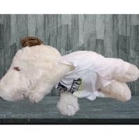 ราคา ตุ๊กตาสนูปปี้ใส่เสื้อท่านอน Snoopy (9439059414)