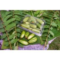 ราคา ผลตะลิงปลิง สดๆ ปลอดภัยไร้สาร(ผลนิ่ม) เหมาะนำไปแช่อิ่ม (21341501615)