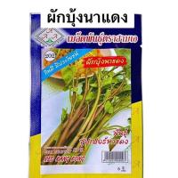 ราคา เมล็ดผักบุ้ง ต้นแดง ผักบุ้งนา ประมาณ 120 เมล็ด (5กรัม) (480967962)