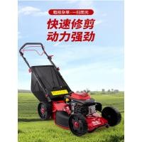 ราคา เครื่องตัดหญ้าเบนซิน Honda Yamaha Power เครื่องตัดหญ้าเครื่องตัดหญ้า Orchard รถเข็นเครื่องตัดหญ้าเครื่องตัดหญ้าเครื่องตัดหญ้า (41967428516)