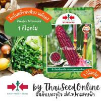 ราคา Sorndang(ศรแดง) EWCOM ถุง1กก ใหม่ เมล็ดพันธุ์ข้าวโพดข้าวเหนียวหวานสีม่วงล้วน มณีแดง 1 กิโลกรัม ตราศรแดง (19696586108)