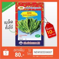 ราคา เมล็ดตั้งโอ๋ ขนาด 3 กรัม ภูเขาทอง (3417700047)