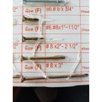 ราคา สกรูปลายสว่านชุบรุ้ง หัวเตเปอร์ เจาะเหล็ก แพ็ค 100 ตัว (3859025897)