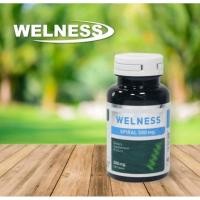 ราคา (ของแท้%)WELNESS SPIRAL 1กระปุก/100 เม็ด (23060709593)