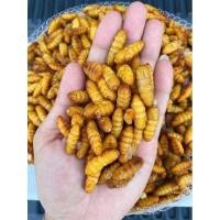 ราคา หนอนไหม(ดักแด้)แช่แข็ง (18380268081)