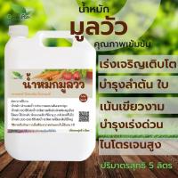 ราคา น้ำหมักชีวภาพมูลวัว ขนาด 5 ลิตร สูตรเข้มข้น น้ำหมักขี้วัว มูลวัว ปุ๋ยน้ำ จานด่วน สำหรับพืช อินทรีย์ชีวภาพ หมัก em คุณภาพ (8471015845)