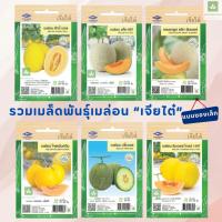ราคา เมล็ดพันธุ์เมล่อน เจียไต๋ มีครบทุกพันธุ์ เมล่อน แค็ท เมล่อนปริ๊นเซส โกลเด้นควีน รักบี้บอล ธนเดอร์โกลด์ แคนตาลูป (27566020984)
