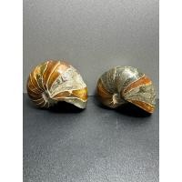 ราคา สัญลักษณ์หอยทากควอตซ์ฟอสซิลขนาดใหญ่มากของภูมิปัญญา (27017432210)