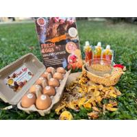 ราคา ไข่ไก่สดปลอดสารเร่งสี (26468195967)