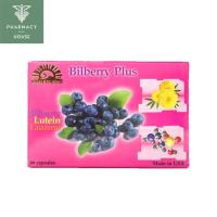ราคา Dr.Lee & Dr.Albert Bilberry plus 60 capsules (6680736382)