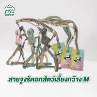 ราคา สายจูงรัดอกน้องหมาน้องแมว แบบมีตุ๊กตา (24210605520)