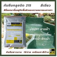 ราคา กลู(gglu) กาวซีเมนต์กันซึม 215 สีเขียว ซีเมนต์กันซึม ดาดฟ้า บ่อปลา สระน้ำ อ่างน้ำ วงบ่อ กันซึมชนิดทา (7962273774)