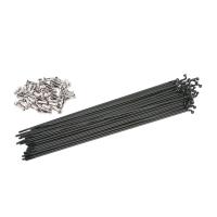 ราคา ซี่ลวดจักรยาน BMX สแตนเลส (สีดำ) พร้อมหัวหมุดซี่ลวดทองเหลือง (สีเงิน) 36 เส้น (29413168106)