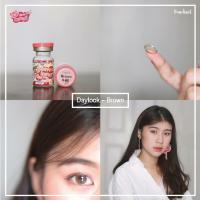 ราคา คอนแทคเลนส์ Kitty kawaii รุ่น Daylook Brown (5535674302)