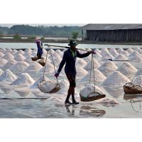 ราคา Salt เกลือป่นทะเลเกรดเอ เกลือปรุงรสเกลือสมุทรแท้ เกลือทะเล 100% เกลือป่น เกลือสปาขัดผิว เกลือปรุงรส (43314312150)