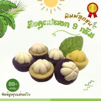 ราคา แม่พิมพ์มังคุดปลอกขนาด 9 กรัมผลิตจากซิลิโคน food grade แท้ 100% ปลอดภัยไร้สีไร้สาร (41208551478)