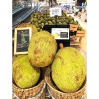 ราคา ต้นขนุนทองมาเลย์ (ทาบกิ่ง 50-60 ซม.) สีเหลือง ต้นสวยใบใหญ่ เป็นมันวาว เนื้อหนา เมล็ดเล็ก กรอบอร่อย ทนแล้งได้ดี (18291147138)