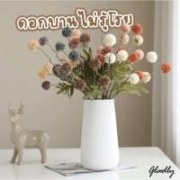 ราคา [ร้านไทย] ช่อดอกแดนดิไลออน ดอกบานไม่รู้โรยปลอม สีวินเทจ ดอกไม้ปลอม ดอกไม้ประดิษฐ์ ตกแต่งบ้าน พร็อพถ่ายรูป Dandelion (18086368270)