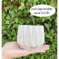 ราคา กระถางปูนเปลือย จานรองกระถาง ถาดรองกระถางแคคตัส กระถางปูน กระถางกระบองเพชร กระถางต้นไม้ กระถางมินิมอล กระถางไลทอป (9909279752)