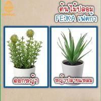 ราคา ต้นไม้ ต้นไม้ปลอม ไม้ประดิษฐ์มีกระถาง FEJKA เฟคก้า ไม้ประดิษฐ์ ตกแต่งบ้าน สวน อิเกีย IKEA (3025956938)