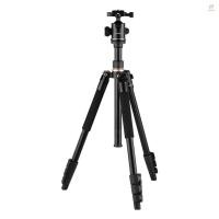 ราคา Andoer 164 ซม./64.57in ขาตั้งกล้องถ่ายภาพ Monopod ขาตั้งอลูมิเนียมอัลลอยด์ 360° หัวบอลหมุนได้ความจุโหลด 8 กก. พร้อมกระเป๋าพกพาสําหรับกล้อง DSLR กล้องวิดีโอ (41511079870)