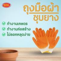 ราคา ถุงมือยางพารา ถุงมือเกษตร ถุงมือเคลือบยางพารา (24626294171)