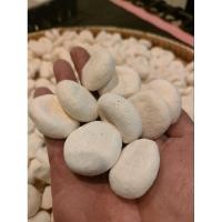 ราคา ลูกแป้งสาโท ข้าวหมาก สูตรเหนือ (ชุดละ 10 ลูก) (23536217479)