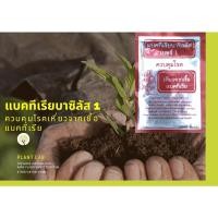 ราคา แบคทีเรียบาซิลลัส เบอร์1 (8427529436)