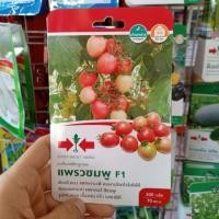 ราคา เมล็ดมะเขือเทศสีดา แพรวชมพู ตราศรแดง 200เมล็ด (7420134241)