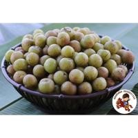ราคา มะขามป้อม พันธฺุ์พื้นบ้าน ปลอดสาร ปลูกแบบเกษตรอินทรีย์ 1กก. (8515642985)