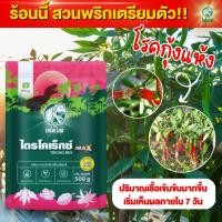 ราคา ไตรโคเร็กซ์แมกซ์ สูตรใหม่ เชื้อเข้มข้นมากขึ้น กำจัดเชื้อราโรคพืช โรคกุ้งแห้ง ในพริก หรือพืชทุกชนิด ขนาด500กรัม (24526274815)