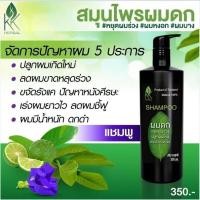 ราคา แชมพูปลูกผม ของแท้ ใบฝรั่ง สมุนไพรผมดก ลดผมร่วง ดกดำ เงางาม ขนาด 300 มล. (25929004325)