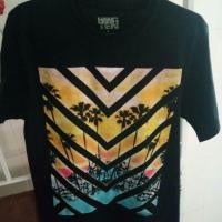 ราคา เสื้อยืด hang ten (1654234064)