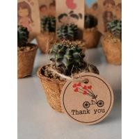 ราคา ของชำร่วย ต้นกระบองเพชร ต้นไม้จริง​ No.10 ของฝาก กระบองเพชร งานแต่ง ต้นไม้มงคล ของชำร่วยงานแต่ง ของขวัญ ยิมโน แคคตัส (21653225886)