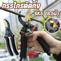 ราคา กรรไกรตัดกิ่ง กรรไกรตัดกิ่งไม้ SK5 ขนาด8.5นิ้ว กรรไกรตัดแต่งกิ่ง ด้ามกันลื่น คม ทน ประหยัดแรงงาน อุปกรณ์ทำสวน (42511728627)