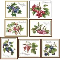ราคา ชุดปักครอสติช ผลไม้ เบอรี่ ราสเบอรี่ ฟิก (Fruit fig berry cross stitch kit) (5192273171)