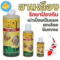 ราคา [ยาปลา] ยาเหลือง RQ FISH CARE ป้องกันครอบคลุมเชื้อแบคทีเรีย 30cc 120cc (23302886807)