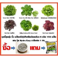 ราคา คุ้มสุด ๆ ซื้อเมล็ดพันธุ์ผักสลัดชนิดเคลือบ 6 ชนิด ชนิดละ 25เมล็ด รวม 150เมล็ด + ปุ๋ย AB ไฮโดรอีซี่ ของชาลีเฟรท 1กก. (2798538734)
