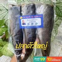 ราคา ปลาดุกร้า ปลาดุกร้าพัทลุง สินค้าOTOP คัดไซส์ใหญ่สุด3ตัว (10961696933)